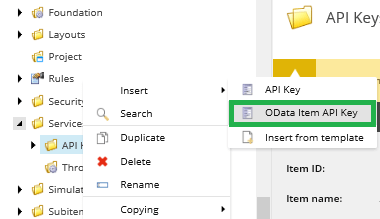 OData Item API Keys Template