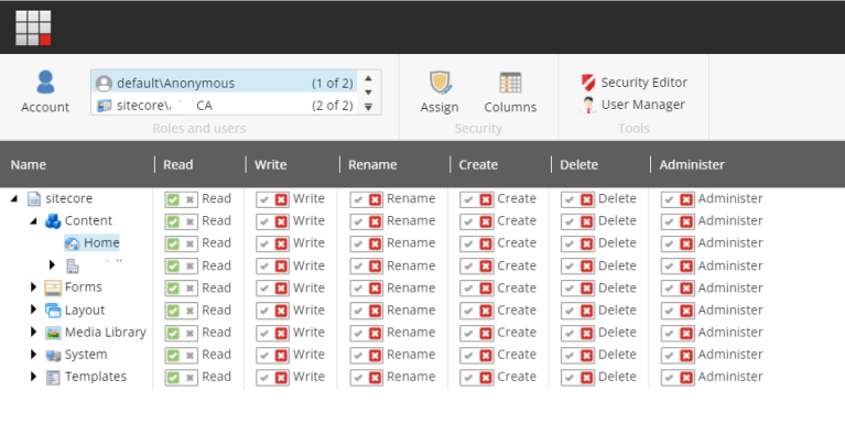 Unlocking the Access Matrix: A Guide to Sitecore Roles and Users ...